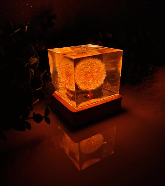 Lampe aus Epoxidharz mit echter Pusteblume – RGB Nachtlicht